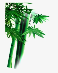 Beautiful High Definition Green Bamboo Leaves Png - Bamboo, Transparent Png, Transparent PNG