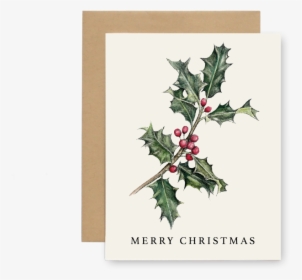 Xmas Holly - Floral Design, HD Png Download, Transparent PNG