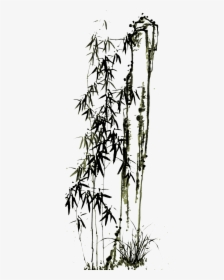 Drawn Bamboo Kawayan - Chinese Painting Bamboo Png, Transparent Png, Transparent PNG