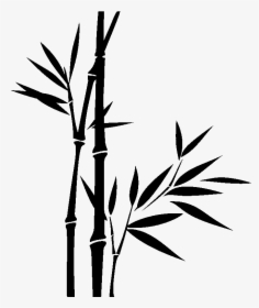 Bamboo Png Download - Bamboo Png Black And White, Transparent Png, Transparent PNG