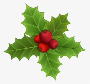 Mistletoe Christmas Clip Art - Transparent Background Mistletoe Clipart, HD Png Download, Transparent PNG