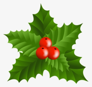 Holly Images Free Clip Art, HD Png Download, Transparent PNG