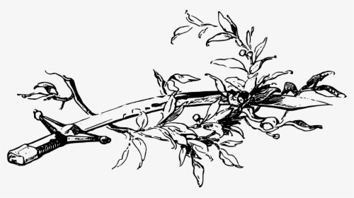 Sword And Olive Branch Clip Arts - Sword And Olive Branch, HD Png Download, Transparent PNG