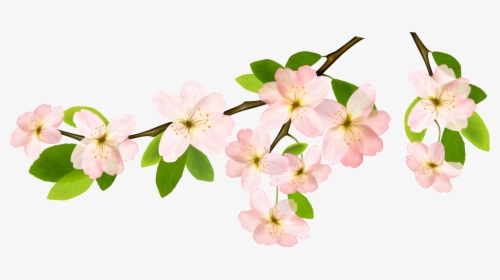 Spring Branch Png Picture - Transparent Background Spring Clipart, Png Download, Transparent PNG