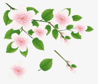 Spring Tree Branch With Flowers Png Clipart Picture - Flower Of Tree Clipart, Transparent Png, Transparent PNG