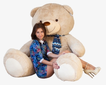 57437 - Teddy Bear, HD Png Download, Transparent PNG