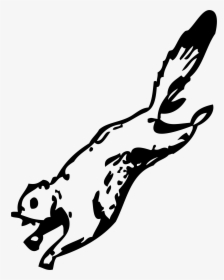 Clipart Flying Squirrel Images Pictures - Flying Squirrel Coloring Page, HD Png Download, Transparent PNG