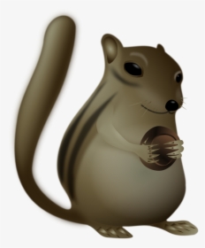 Squirrel, Wildlife, Animal, Cute, Brown - สัตว์ ป่า น่า รัก Png, Transparent Png, Transparent PNG