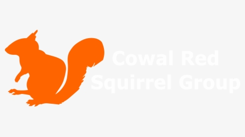 Marten Clipart Friend - Squirrel Png Logo, Transparent Png, Transparent PNG