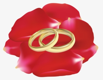 Download Wedding Rings In Rose Petals Clipart Png Photo - Rings Art Wedding Flower, Transparent Png, Transparent PNG