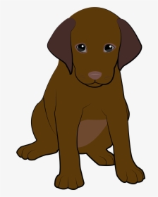 6 Chocolate Puppy - Labrador Retriever, HD Png Download, Transparent PNG