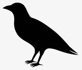 Animated Bird Raven Crow Png Silhouette - Bird Raven Cartoon Black Crow, Transparent Png, Transparent PNG