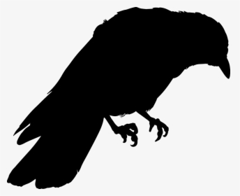 Bird,claw,line Art,perching Bird,clip - Crow Silhouette Png, Transparent Png, Transparent PNG