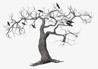 Crows On Tree Png Transparent, Png Download, Transparent PNG