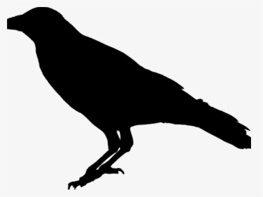 Crow Png Transparent Images - Silhouette Crow Transparent Background, Png Download, Transparent PNG
