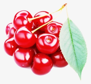 Red Cherry Png Free Image Download - Fruit Cherry, Transparent Png, Transparent PNG