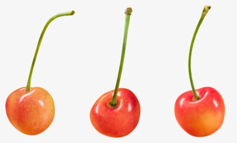 Cherry Png Image - Free Png Hd Images For Commercial Use, Transparent Png, Transparent PNG