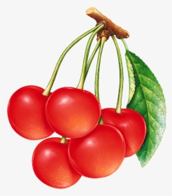 3076 - Red Cherry, HD Png Download, Transparent PNG