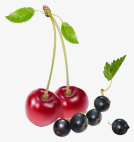 Cherries And Blueberries Png Clipart - Cherries And Blueberries, Transparent Png, Transparent PNG