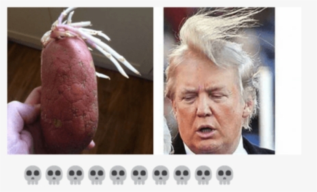 Funny Donald Trump Memes - Donald Trump Wearing Wig, HD Png Download, Transparent PNG