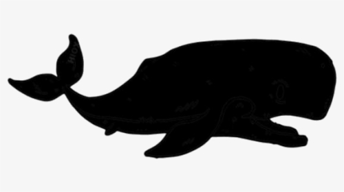 Transparent Whale Png Clipart Free Download - Whale, Png Download, Transparent PNG