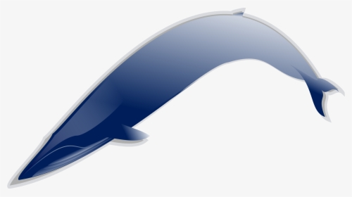Whale Clip Arts - Fish Curve, HD Png Download, Transparent PNG