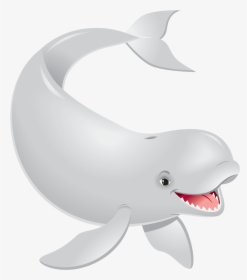 Transparent Beluga Whale Png, Png Download, Transparent PNG