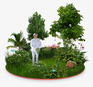 Next Gardens Lucas Teixeira Png Black And White Download - Transparent Guava Tree Png, Png Download, Transparent PNG