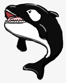 Whales, HD Png Download, Transparent PNG