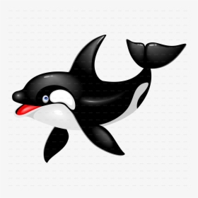 Killer Whale Dolphin Drawing Cetacea - Killer Whale Cartoon Transparent, HD Png Download, Transparent PNG
