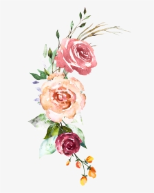 Garden Roses, Hd Png Download - Watercolor Painting, Transparent Png, Transparent PNG