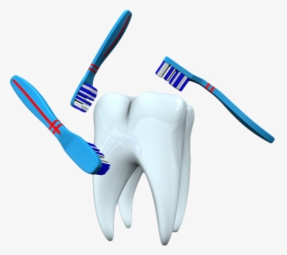 Single Teeth Png Background Image - Toothbrush, Transparent Png, Transparent PNG