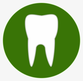 Teeth, Dental, Green, Medicine, Medical, Tooth - Peercoin Ppc, HD Png Download, Transparent PNG