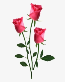Garden Roses Flower Clip Art - New Happy Valentines Day, HD Png Download, Transparent PNG