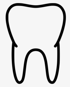 Tooth Teeth Healthy Biology Anatomy Medicine - Medicine, HD Png Download, Transparent PNG