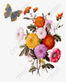 European Aesthetic Vintage Floral - Aesthetic Vintage Png, Transparent Png, Transparent PNG