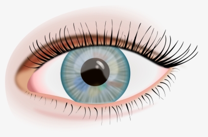 Eye Png Image - Ojo Humano Png, Transparent Png, Transparent PNG