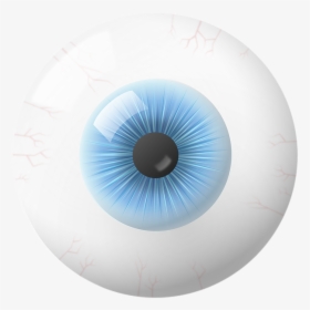 Eye, Iris, Globe, Vision, Vista, Eyeball, Blue, Cyan - Circle, HD Png Download, Transparent PNG