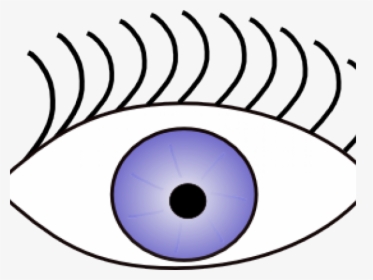 Eyeball Clipart See Sense - Eye Clip Art, HD Png Download, Transparent PNG