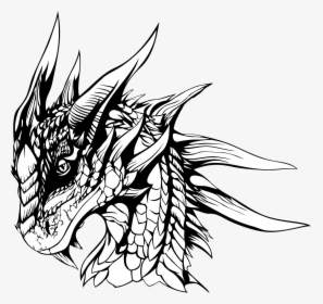 Lime Drawing Pencil For Free Download - Pencil Sketch Dragon, HD Png Download, Transparent PNG