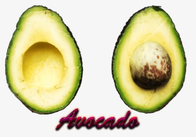 Avocado Download Png - Portable Network Graphics, Transparent Png, Transparent PNG