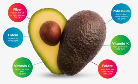 Avocados From Mexico Are Certified By The American - Avocado Fatty Foods, HD Png Download, Transparent PNG