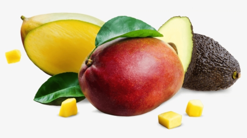Mango Avocado Png, Transparent Png, Transparent PNG