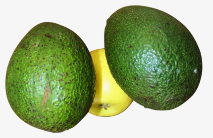 Avocado Png Image - Persian Lime, Transparent Png, Transparent PNG
