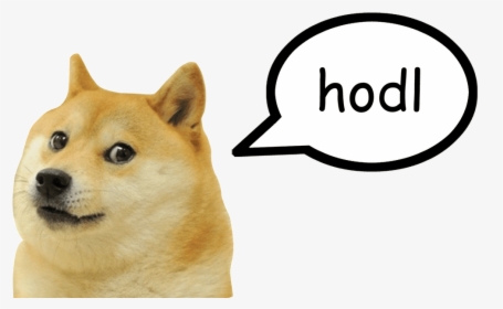 Doge Meme Clipart Png Download Doge Ben And Jerry S Transparent Png Transparent Png Image Pngitem