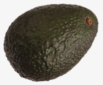 Avocado, HD Png Download, Transparent PNG