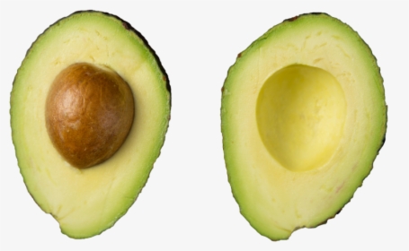 The New Stem Cell Multiplication Method Could Double - Avocado, HD Png Download, Transparent PNG