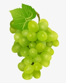 Currant - Green Grapes Pngs Transparent, Png Download, Transparent PNG