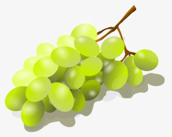 Bunch Of Grapes, HD Png Download, Transparent PNG