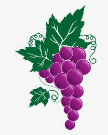 Grape Png Transparent Free Images - Grapes On The Vine Clipart, Png Download, Transparent PNG